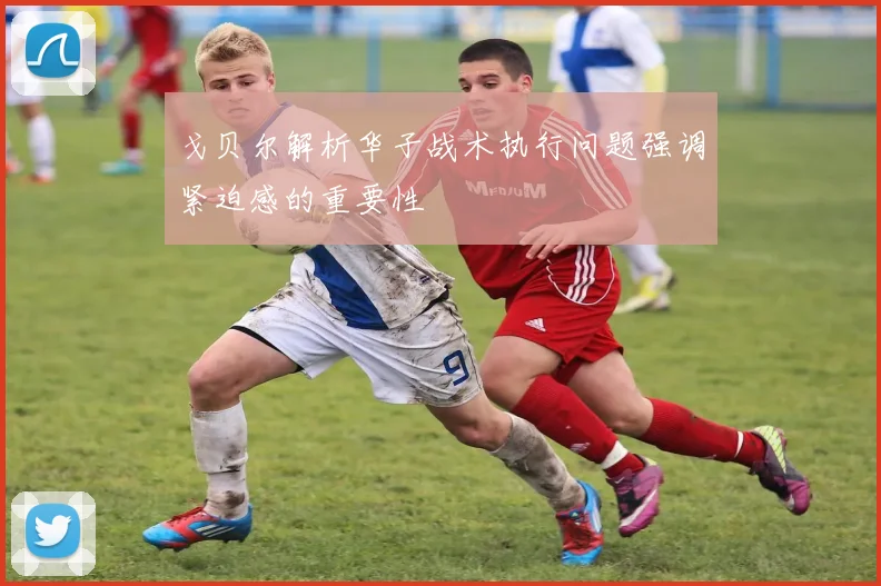戈贝尔解析华子战术执行问题强调紧迫感的重要性